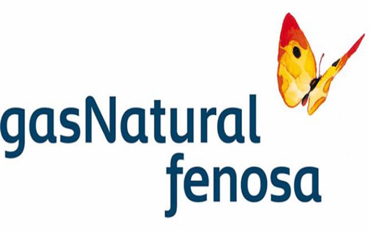 Union Fenosa Gas Natural 116